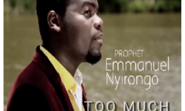 "Emmanuel Nyirongo - Too Much Music Artwork"