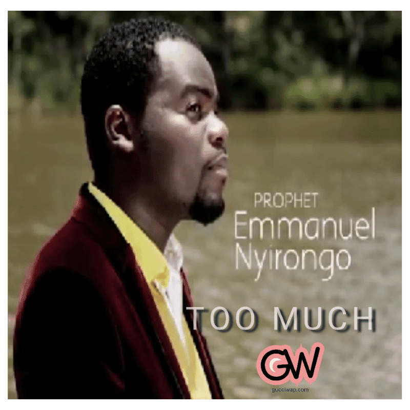 "Emmanuel Nyirongo - Too Much Music Artwork"