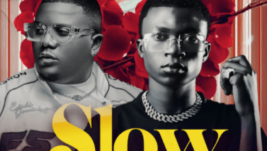 "Flower Boy Ft. Stevo - Slow"