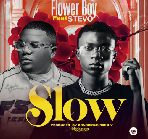 "Flower Boy Ft. Stevo - Slow"