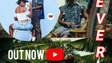 "Never mp3 - Ama Sweet Dondo"