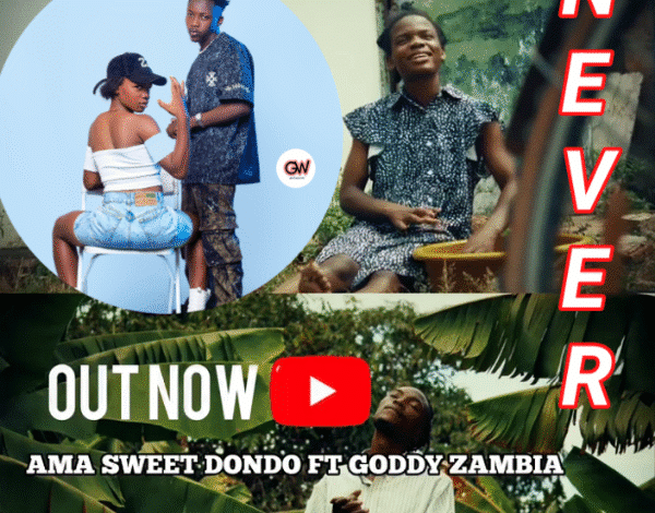 "Never mp3 - Ama Sweet Dondo"