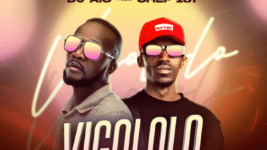 "Vigololo mp3 - Dj AIC"