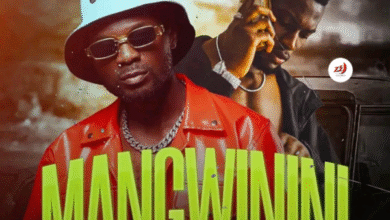 "Mangwinini mp3 - Mizi Wayne"