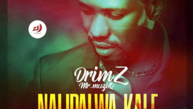 "Nalipalwa Kale - Drimz"