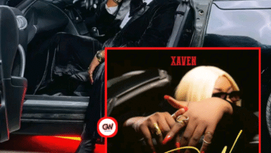 "Wow Freestyle - Xaven"