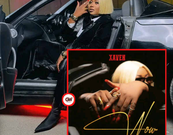 "Wow Freestyle - Xaven"