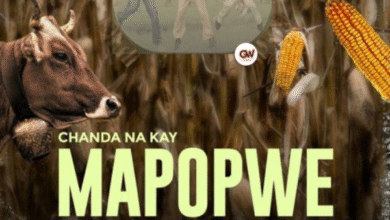 "Mapopwe - Chanda Na Kay Ft. Sianene & CoopTicker"
