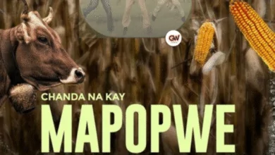 "Mapopwe - Chanda Na Kay Ft. Sianene & CoopTicker"