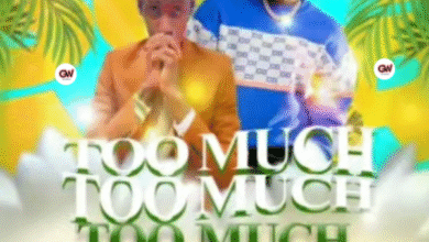 Too Much - Diggo World & Ozone Africa