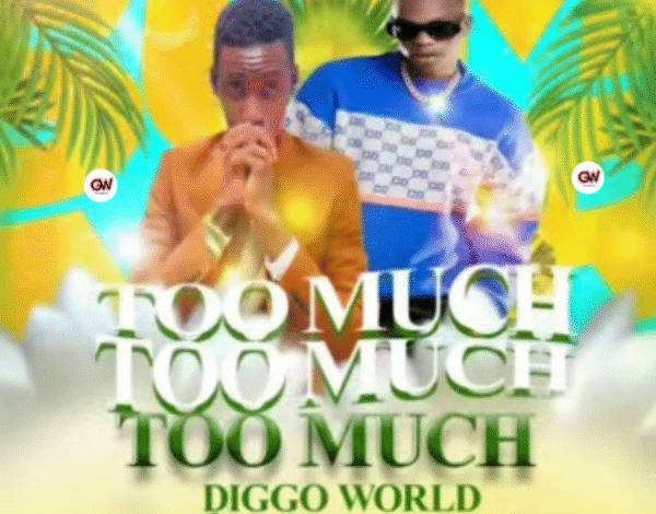 Too Much - Diggo World & Ozone Africa